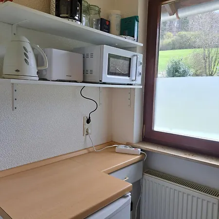 Willingen Apartment *