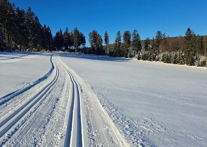 Willingen Appartamento *