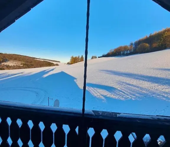 Apartmán Willingen *